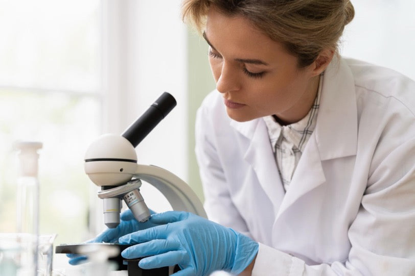 Panax Ginseng Root Extract