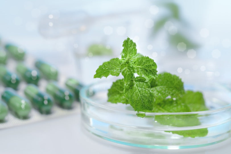 Peppermint Oil